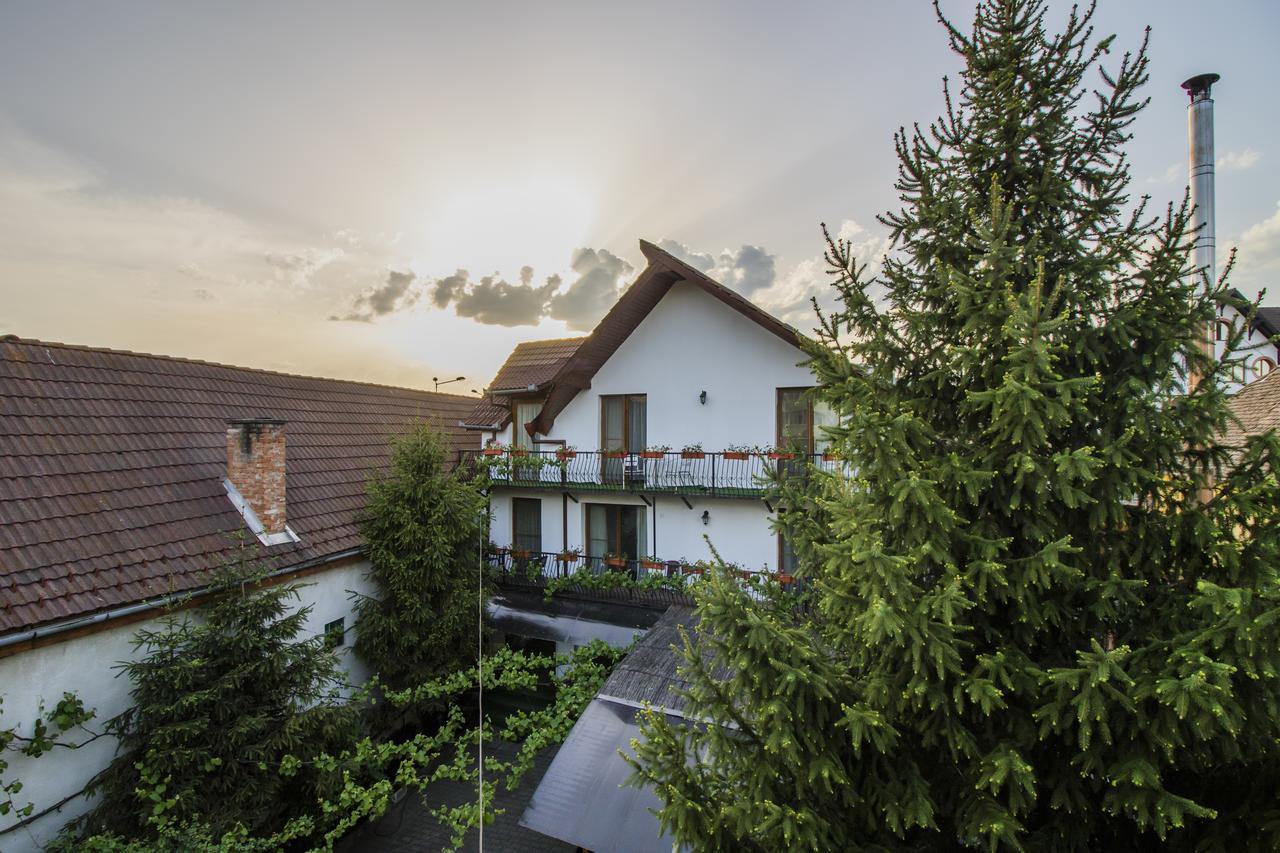 Gasthof Sara Sibiu Buitenkant foto